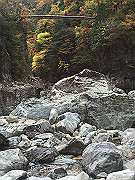 img_2455_thumb.jpg