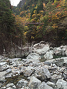 img_2458_thumb.jpg
