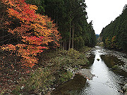img_2459_thumb.jpg