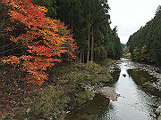 img_2460_thumb.jpg
