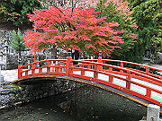 img_2477_thumb.jpg