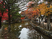 img_2491_thumb.jpg