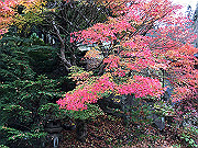 img_2494_thumb.jpg