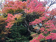 img_2496_thumb.jpg