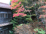 img_2500_thumb.jpg