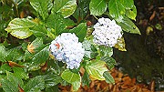 dsc00004_thumb.jpg