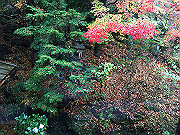 img_2508_thumb.jpg