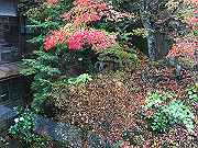 img_2509_thumb.jpg