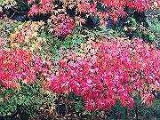 img_2513_thumb.jpg