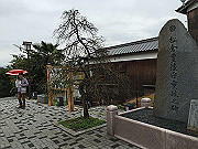 img_2535_thumb.jpg
