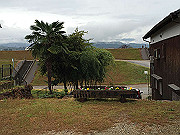 img_2538_thumb.jpg