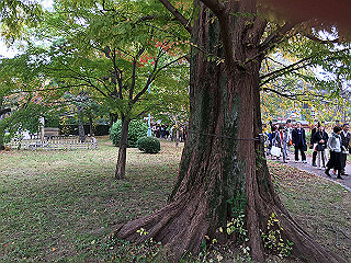 img_2581_thumb.jpg