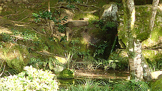 pb073332_thumb.jpg