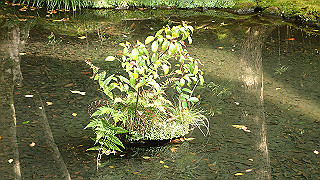pb073335_thumb.jpg