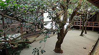 pb073350_thumb.jpg