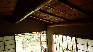 pb073366_thumb.jpg