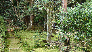 pb073376_thumb.jpg