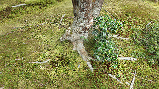pb073377_thumb.jpg