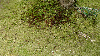 pb073378_thumb.jpg