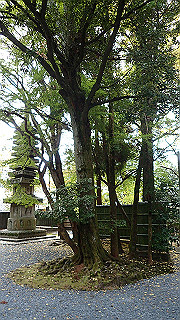 pb073379_thumb.jpg