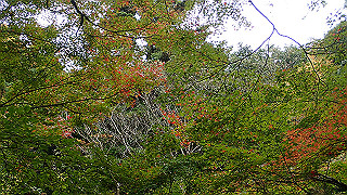 pb073382_thumb.jpg