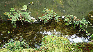 pb073383_thumb.jpg
