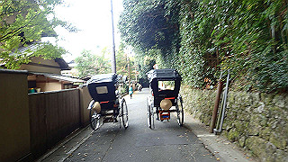 pb073387_thumb.jpg