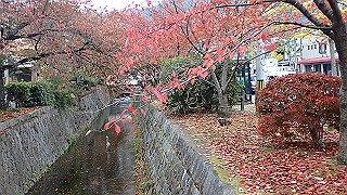 pb073397_thumb.jpg