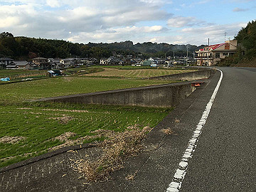 img_2742_thumb.jpg