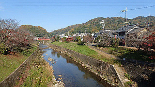 pc023247_thumb.jpg