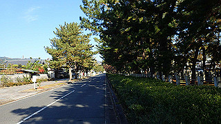 pc023248_thumb.jpg
