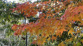 pc023257_thumb.jpg