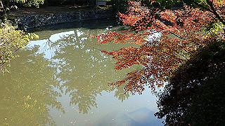 pc023261_thumb.jpg