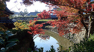 pc023264_thumb.jpg
