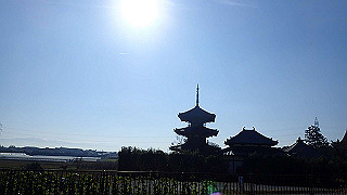 pc023272_thumb.jpg