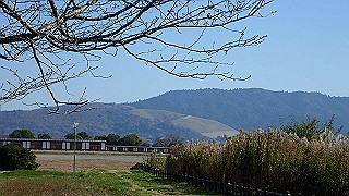 pc023320_thumb.jpg