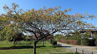 pc023321_thumb.jpg