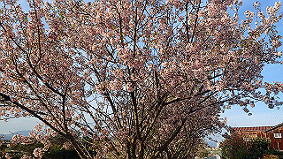 pc023368_thumb.jpg