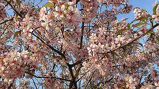 pc023371_thumb.jpg