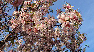 pc023372_thumb.jpg