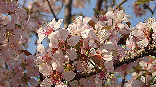 pc023374_thumb.jpg