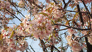 pc023376_thumb.jpg