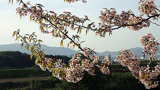 pc023377_thumb.jpg