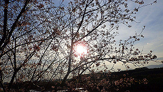 pc023378_thumb.jpg