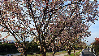 pc023380_thumb.jpg