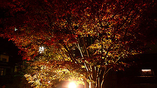 pc023510_thumb.jpg