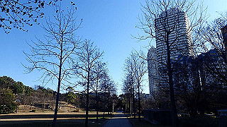 pc203231_thumb.jpg