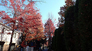 pc203232_thumb.jpg