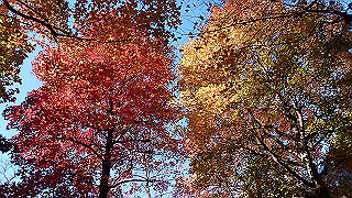 pc203238_thumb.jpg