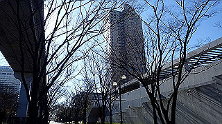 pc203266_thumb.jpg